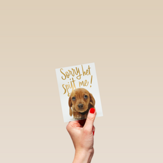 verjaardag te laat sorry het spijt me puppy