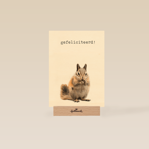 Gefeliciteerd kaart furry cuddles eekhoorn