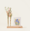 Brievenbuspakket Droogbloemen Baby Girl Roze