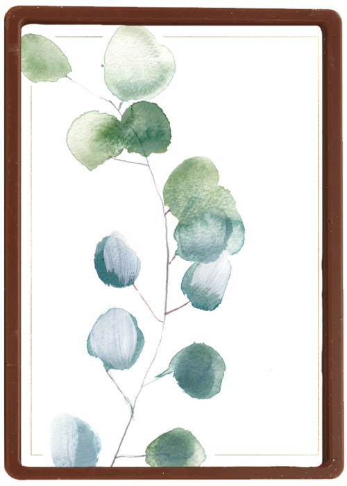 blanco condoleancekaart met plant