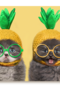 Chromazone kittens bril