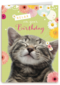 relax on your birthday