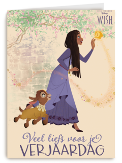 Disney wish veel liefs verjaardagskaart