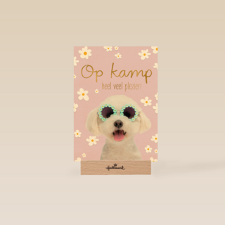 Hond op kamp