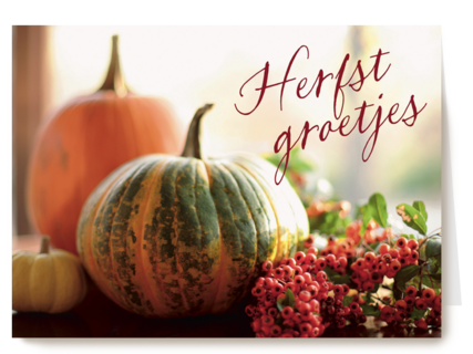 herfst kaarten herfst groetjes
