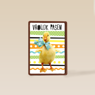 vrolijk paaskuiken