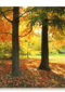 een zonnige namiddag in de herfst