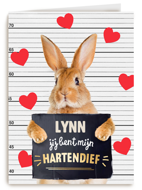 valentijn kaart konijn grappig jij bent mijn hartendief