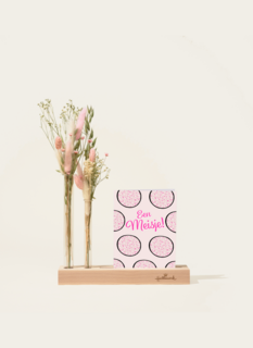 Brievenbuspakket Droogbloemen Roze