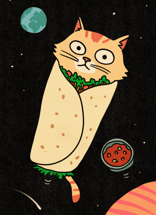Grappige verjaardagskaart Purrito