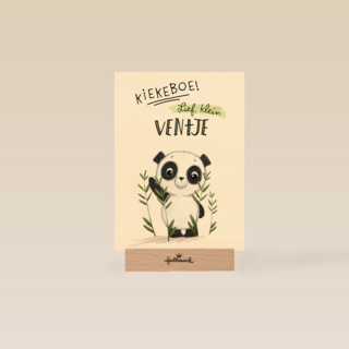 geboorte kaart zoon kiekeboe lief klein ventje