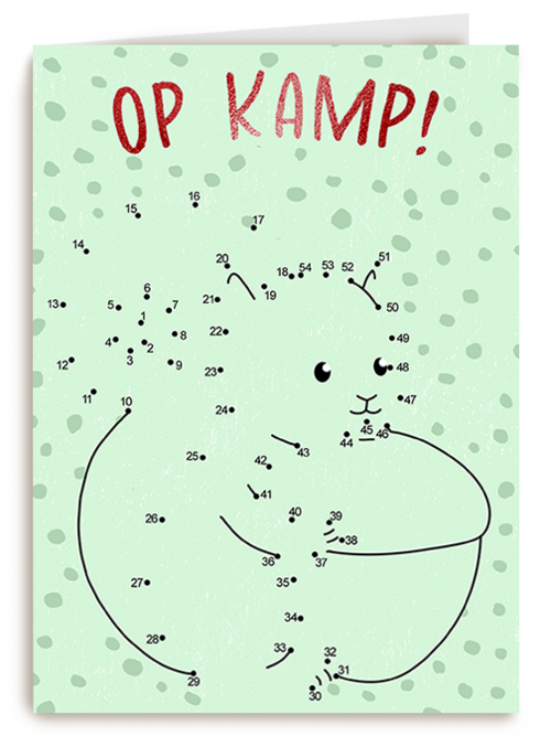 Op Kamp Puzzel kaart