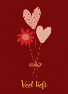 Valentijn Bosje Veel Liefs