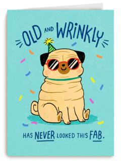 verjaardag kaart grappig old and wrinkly has never looked this fab