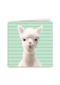 Blanco kaart alpaca