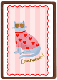 Communie coole lieve kat