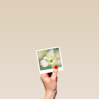 Sterktekaart Blanco met bloem Polaroid