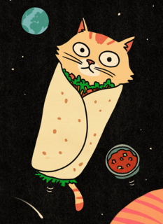 Grappige verjaardagskaart Purrito