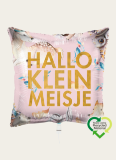 Ballon Hallo Klein Meisje Roze Goud Eco