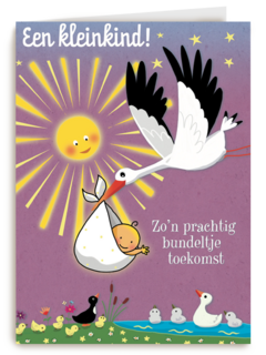 smile kaart een kleinkind ooievaar