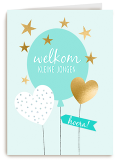 Babykaart zoon Welkom kleine jongen