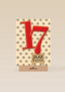 zeventien rood klavers
