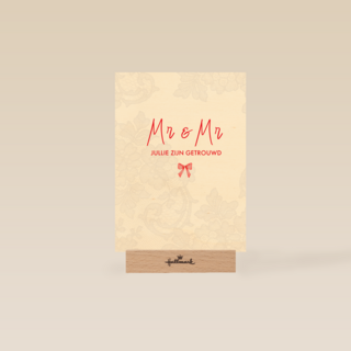 Mr Mr jullie zijn getrouwd