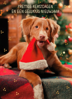 Kerstkaart klassiek Hond met kerstmuts