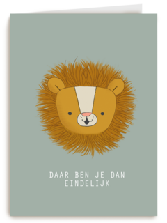 geboorte jongen daar ben je dan eindelijk