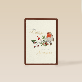 Fijne kerstdagen roodborstje