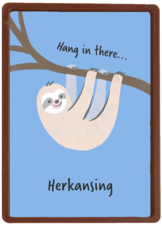 Geslaagd Hang in there herkansing