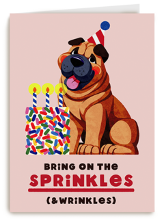 Verjaardag Sprinkles And Wrinkles
