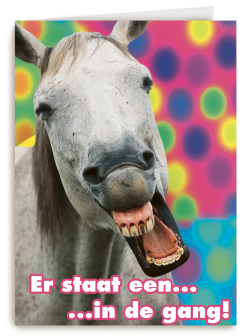 paard gang carnaval