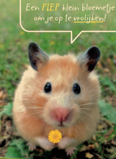 een piepklein bloemetje voor jou