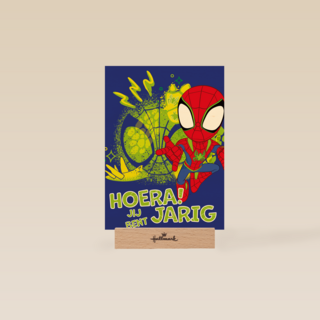 Spidey and friends Hoera