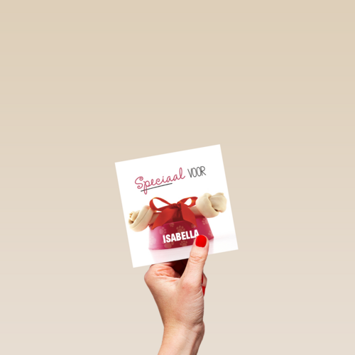 dierendag speciaal voor jou