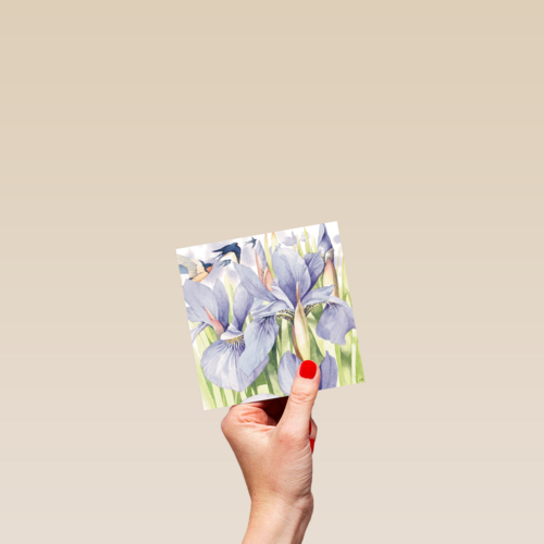 marjolein bastin blanco paars blauw bloemen