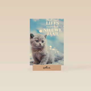 veel liefs voor het nieuwe jaar met deze kitten