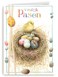 kuiken met nestje eieren
