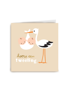 Ooievaar met twee babies hoera een tweeling