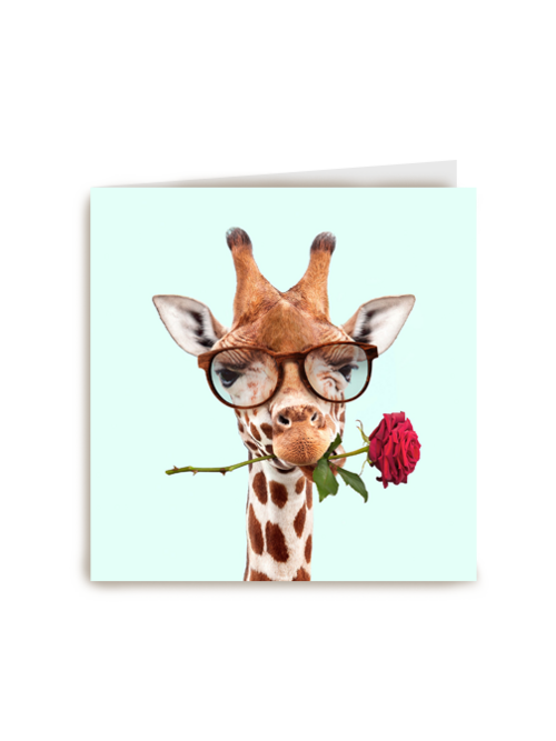 liefdeskaart grappig Giraffe met roos