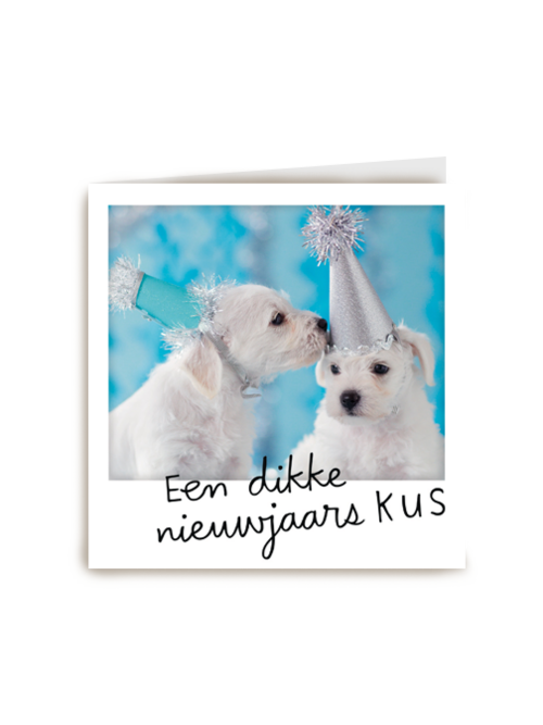 nieuwjaarskaart een dikke nieuwjaarskus