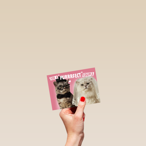 for a purrrfect couple