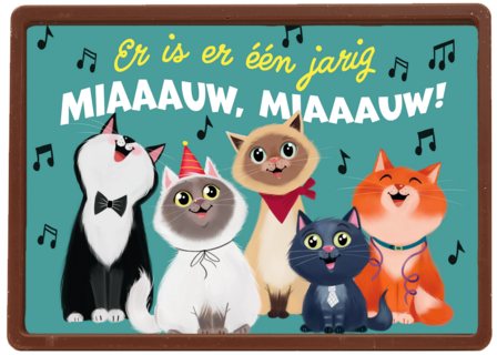 Ylva Svensson Katten verjaardag