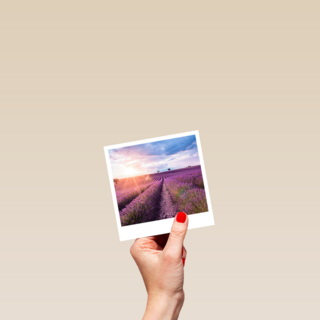 Groetjes uit kaart Polaroid