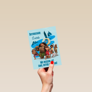 Disney Vaiana 2 Beterschap