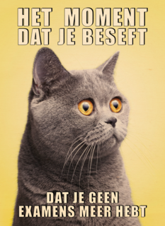 Geslaagd kaart Kat grappig