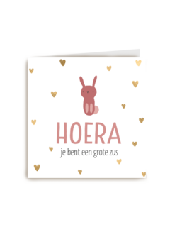 geboorte zusje konijn hoera je bent een grote zus