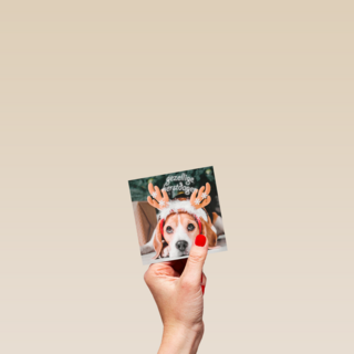 Kerstkaart klassiek hond met gewei