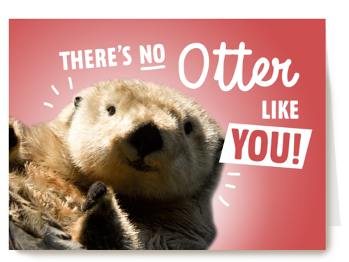 theres no otter like you